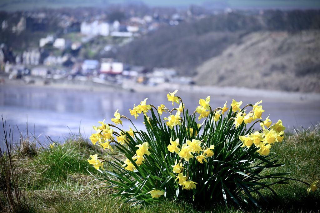 Filey North Yorkshire