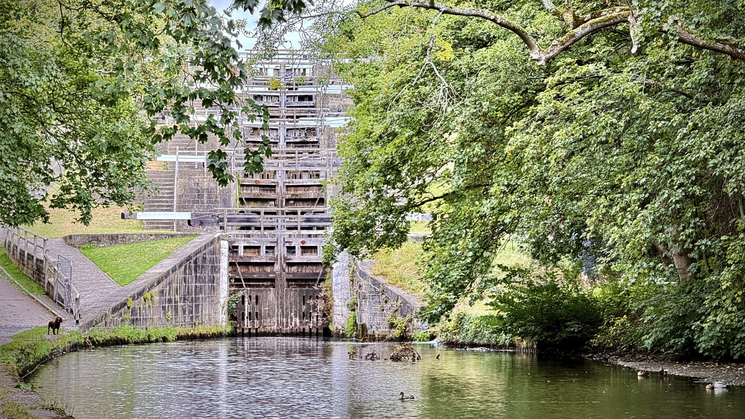 Brisk Canal Walk: Shipley to Bingley Five Rise Locks