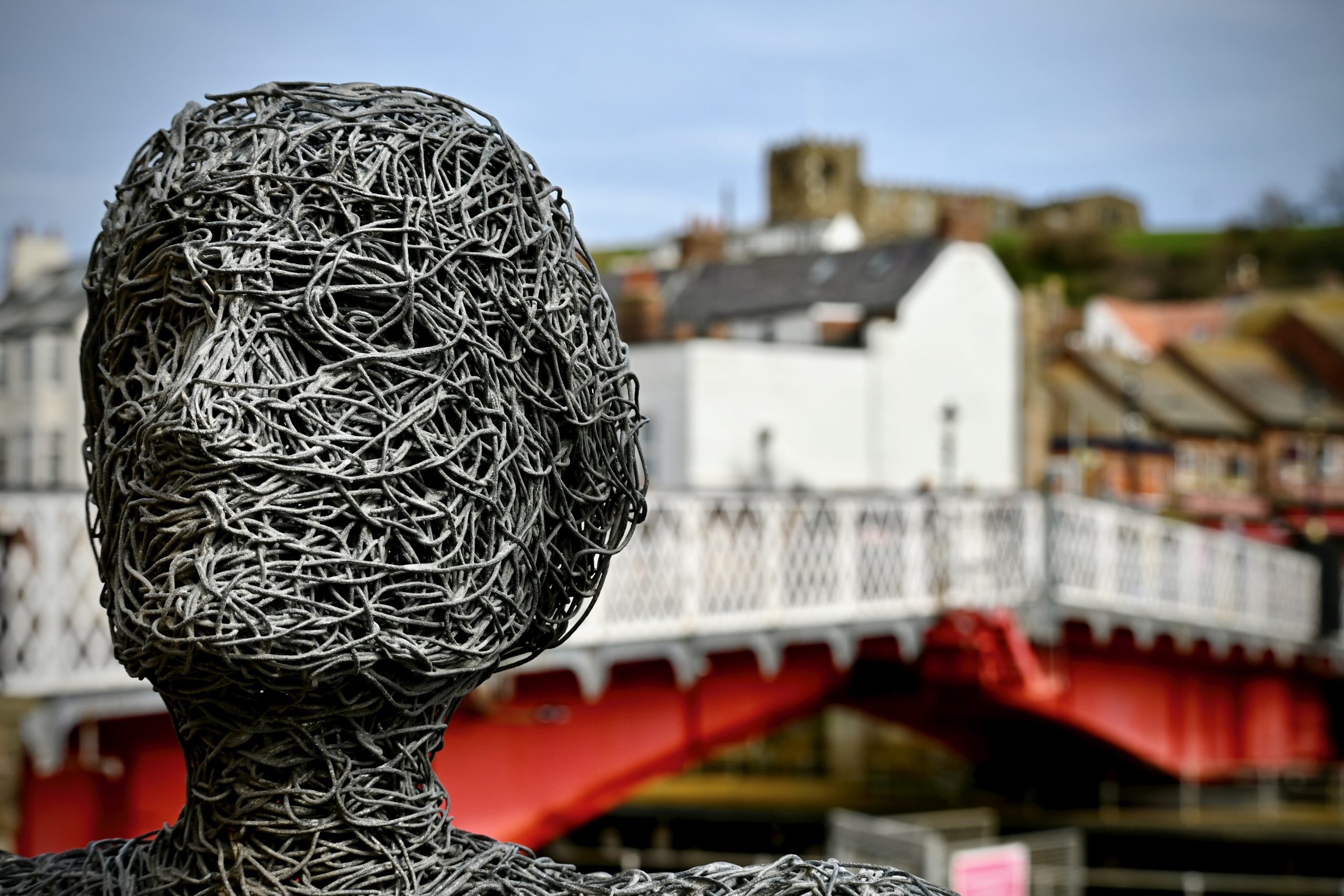 shallow depth of field