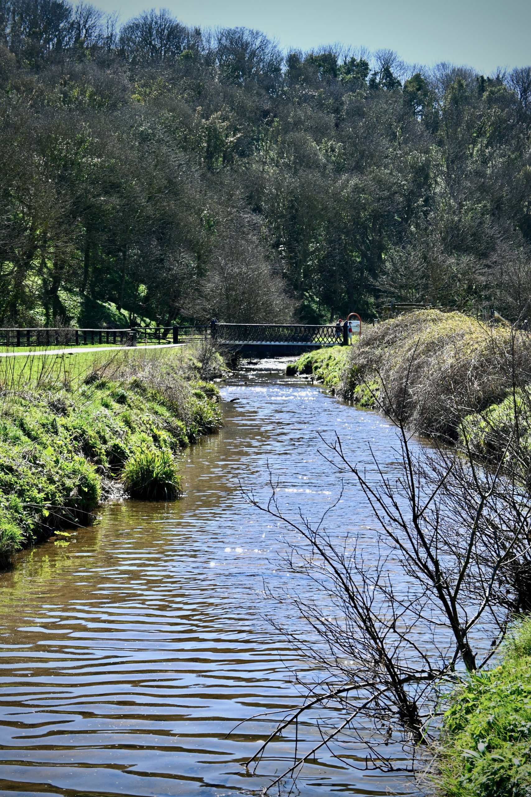 Saltburn Valley Country Park