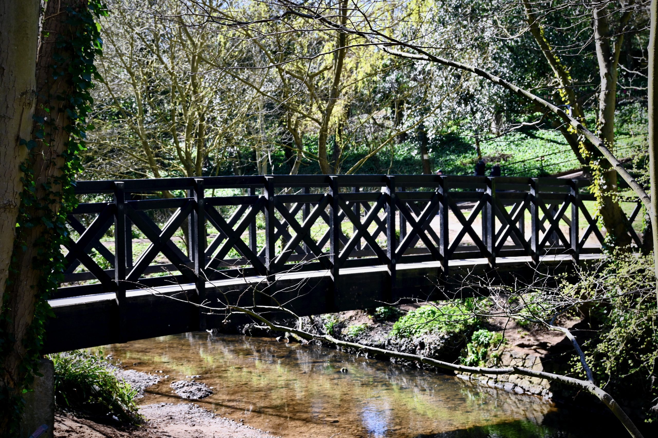 Footbridge at Saltburn Valley Country Park