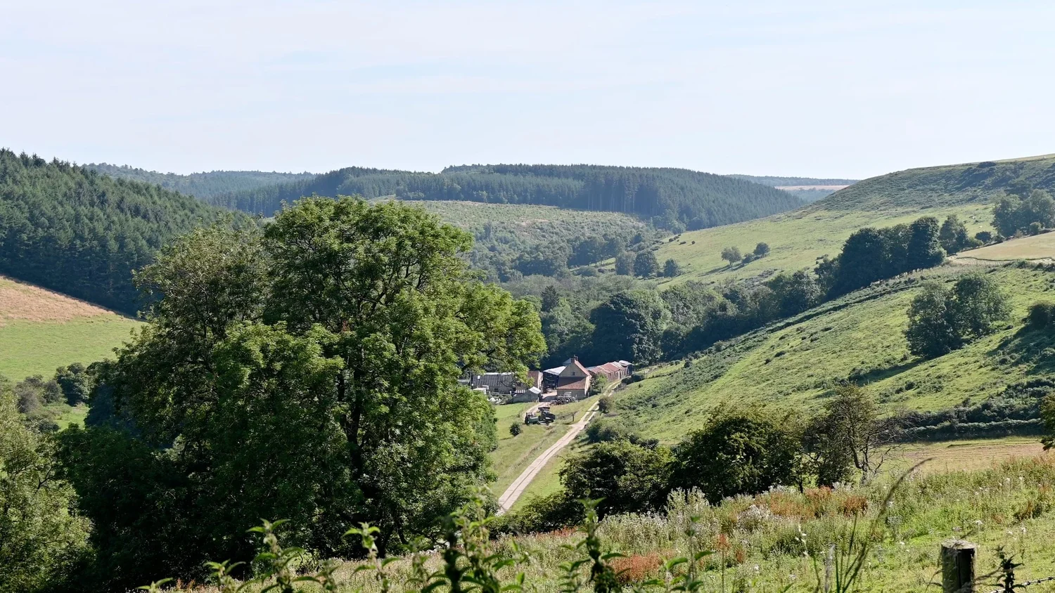 Circular Walk from Thornton-le-Dale to Low Dalby via Ellerburn and Dalby Forest