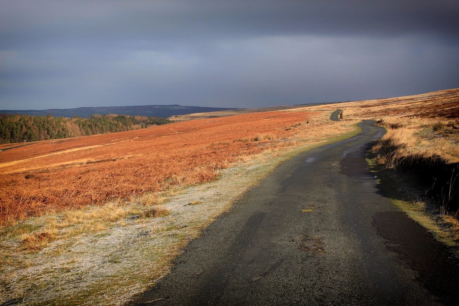 North York Moors