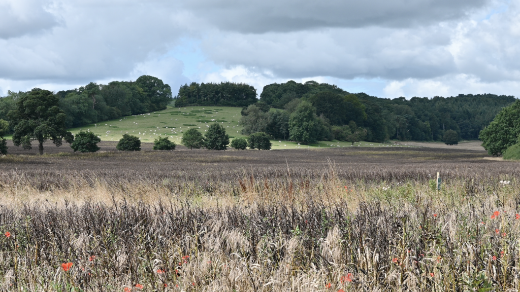 Views from the Ebor Way