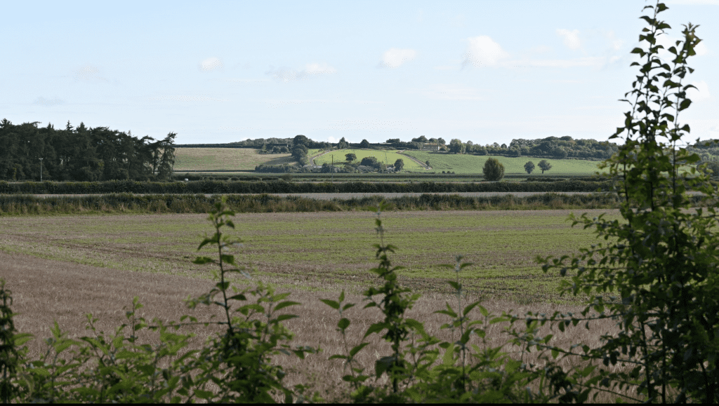 Ebor Way to Birch Farm