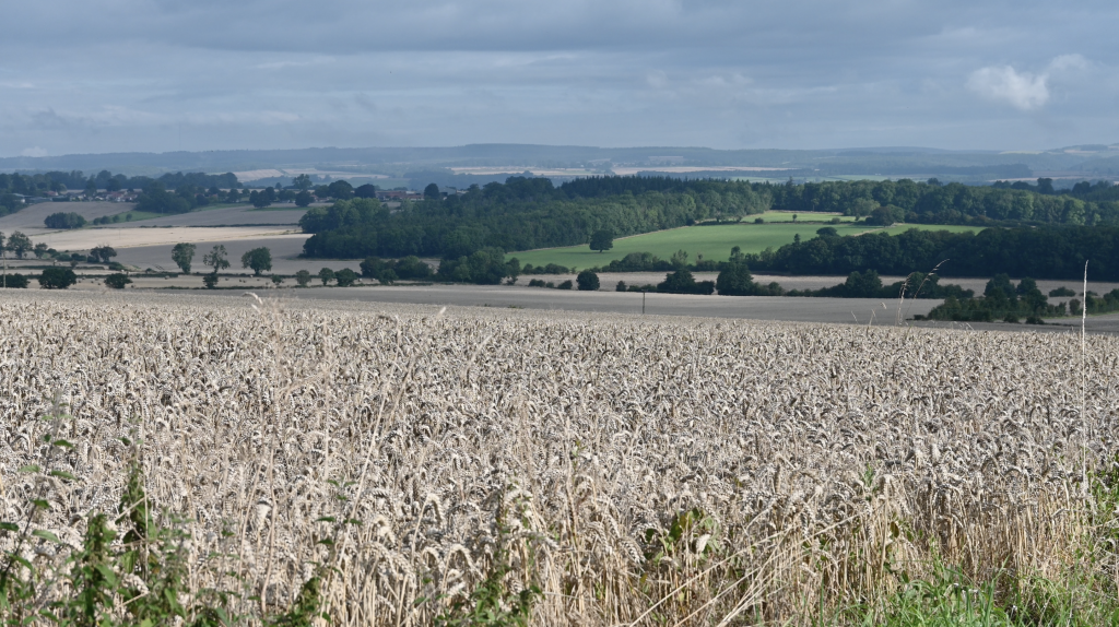 Views from the Ebor Way