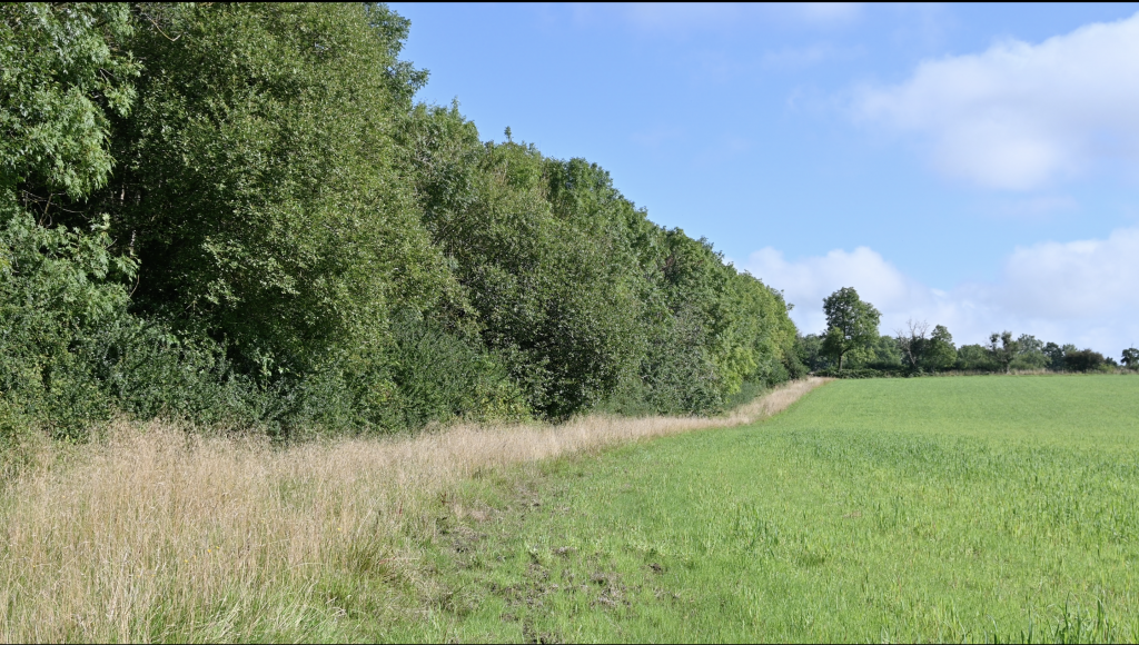 Ebor Way to Helmsley