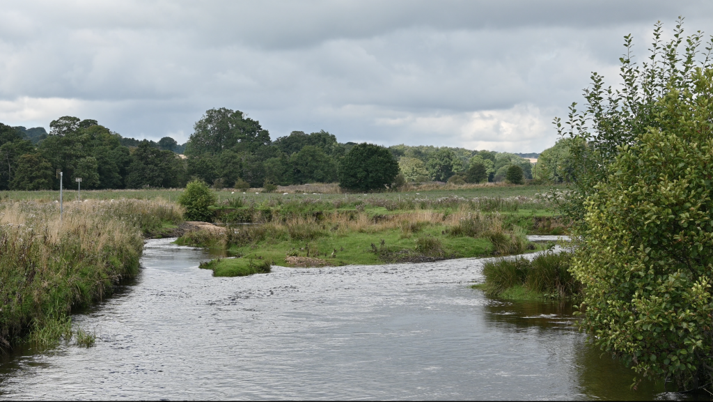 River Rye on the Ebor Way