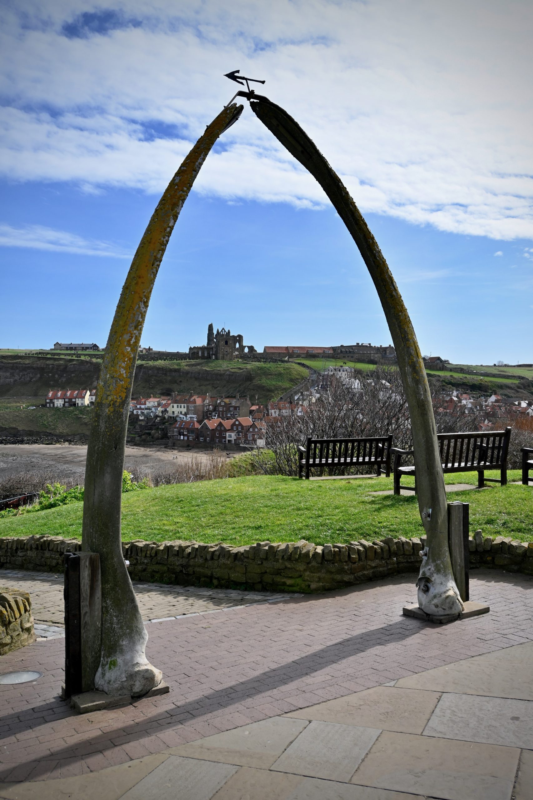 Whitby Whale Bones