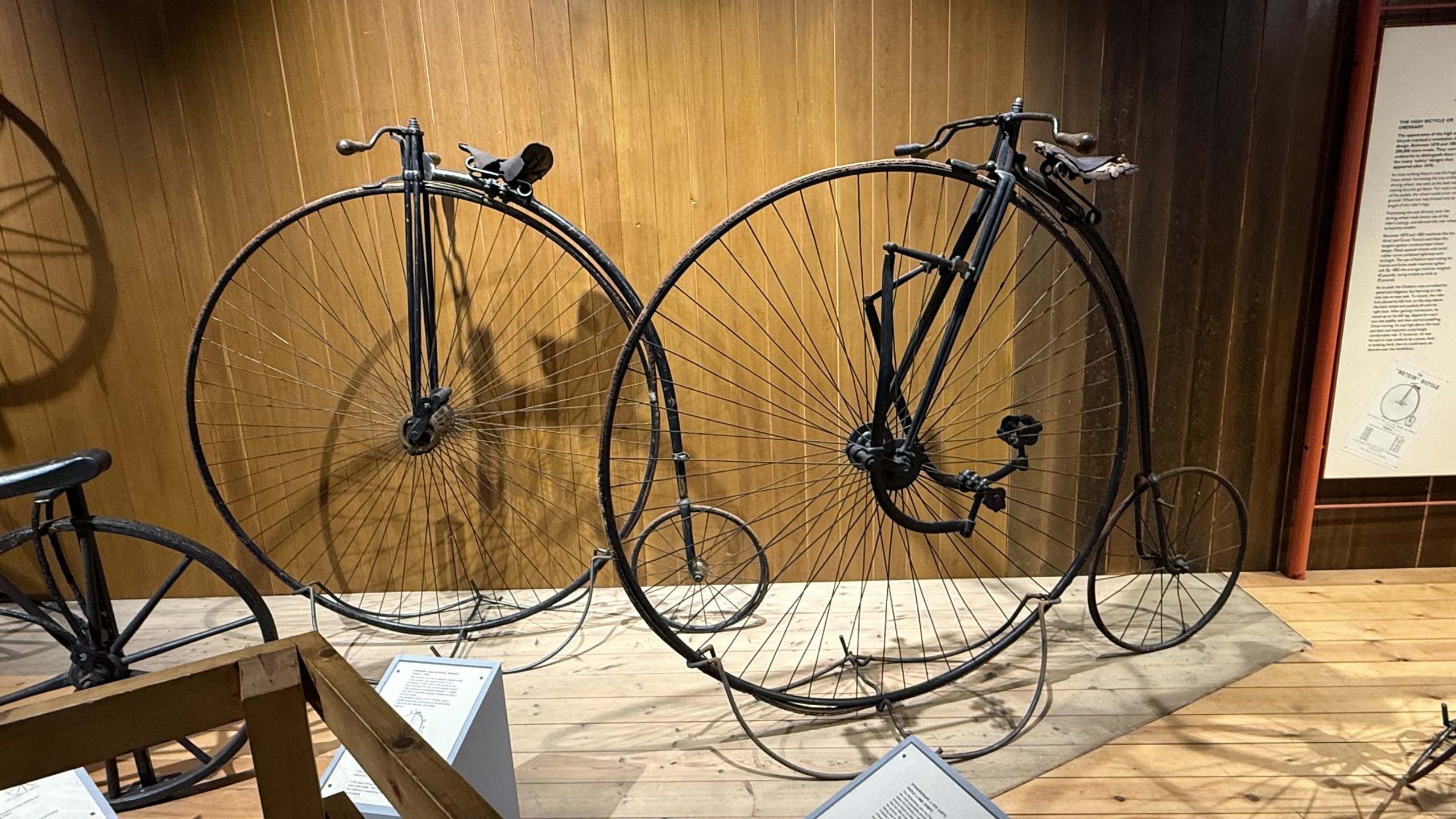 Hull Museums Quarter – History, Culture & Family-Friendly Attractions