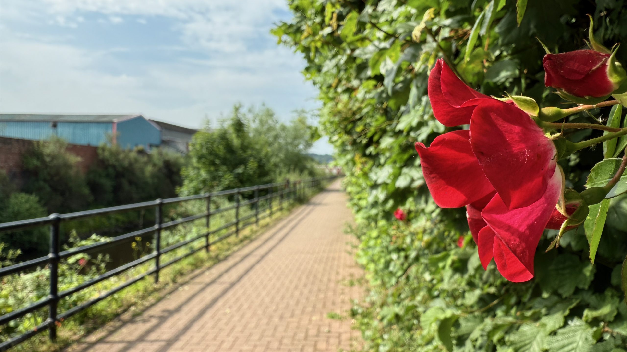 Sheffield Five Weirs Walk | Scenic Riverside Trail Along the River Don