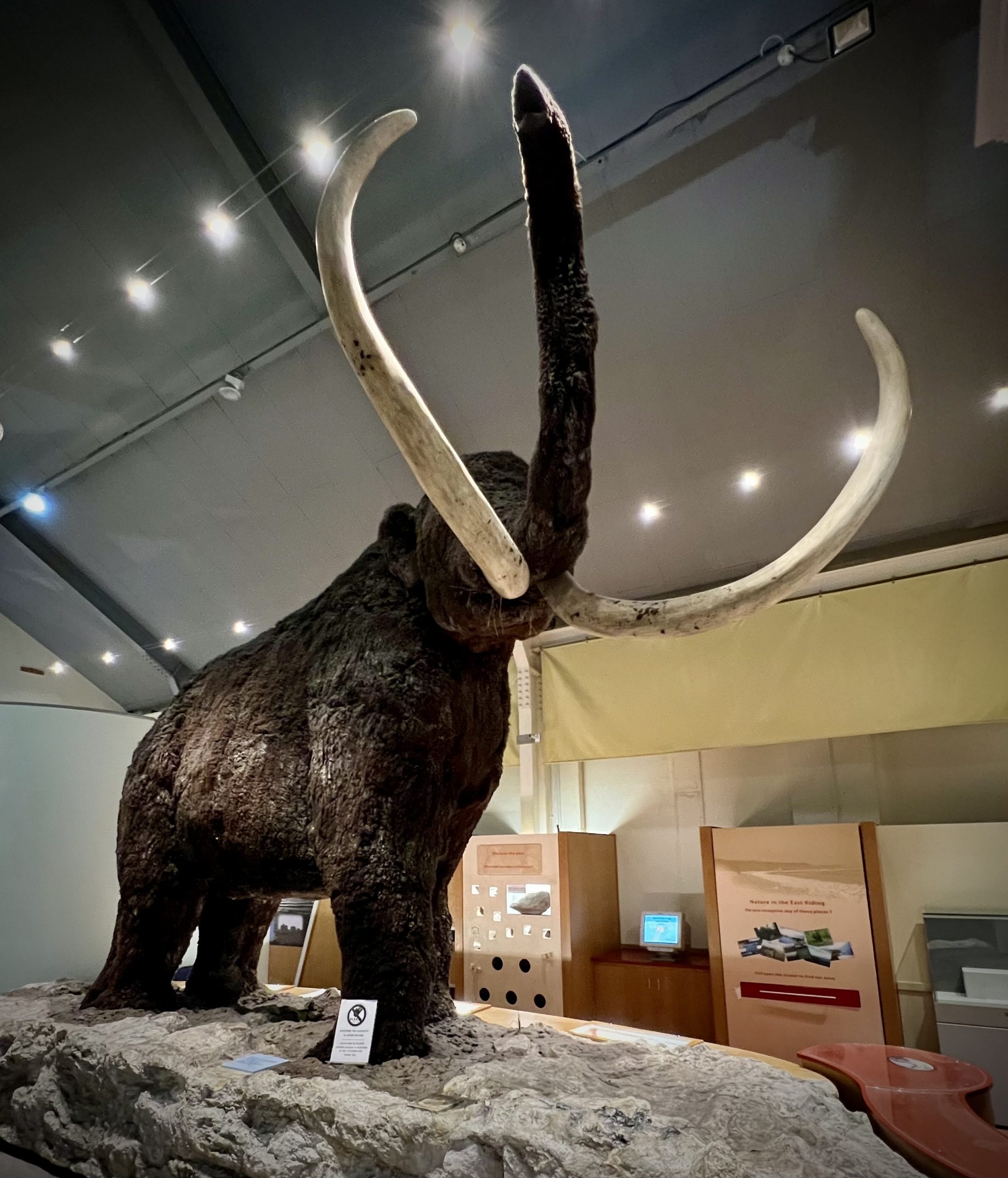 Hull Museums Quarter – History, Culture & Family-Friendly Attractions