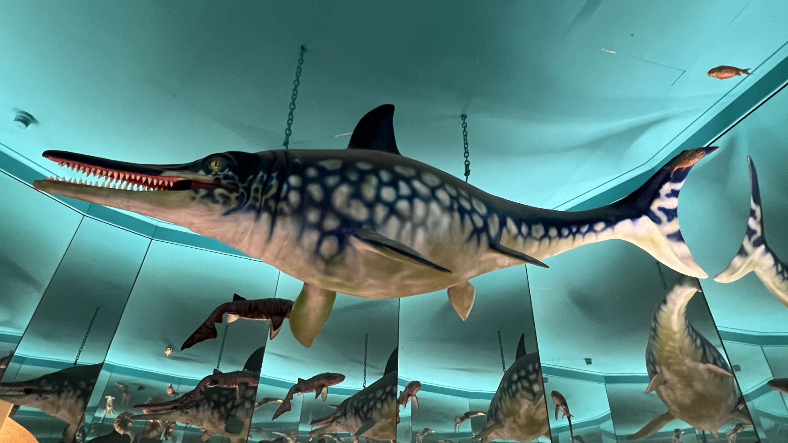 Hull Museums Quarter – History, Culture & Family-Friendly Attractions