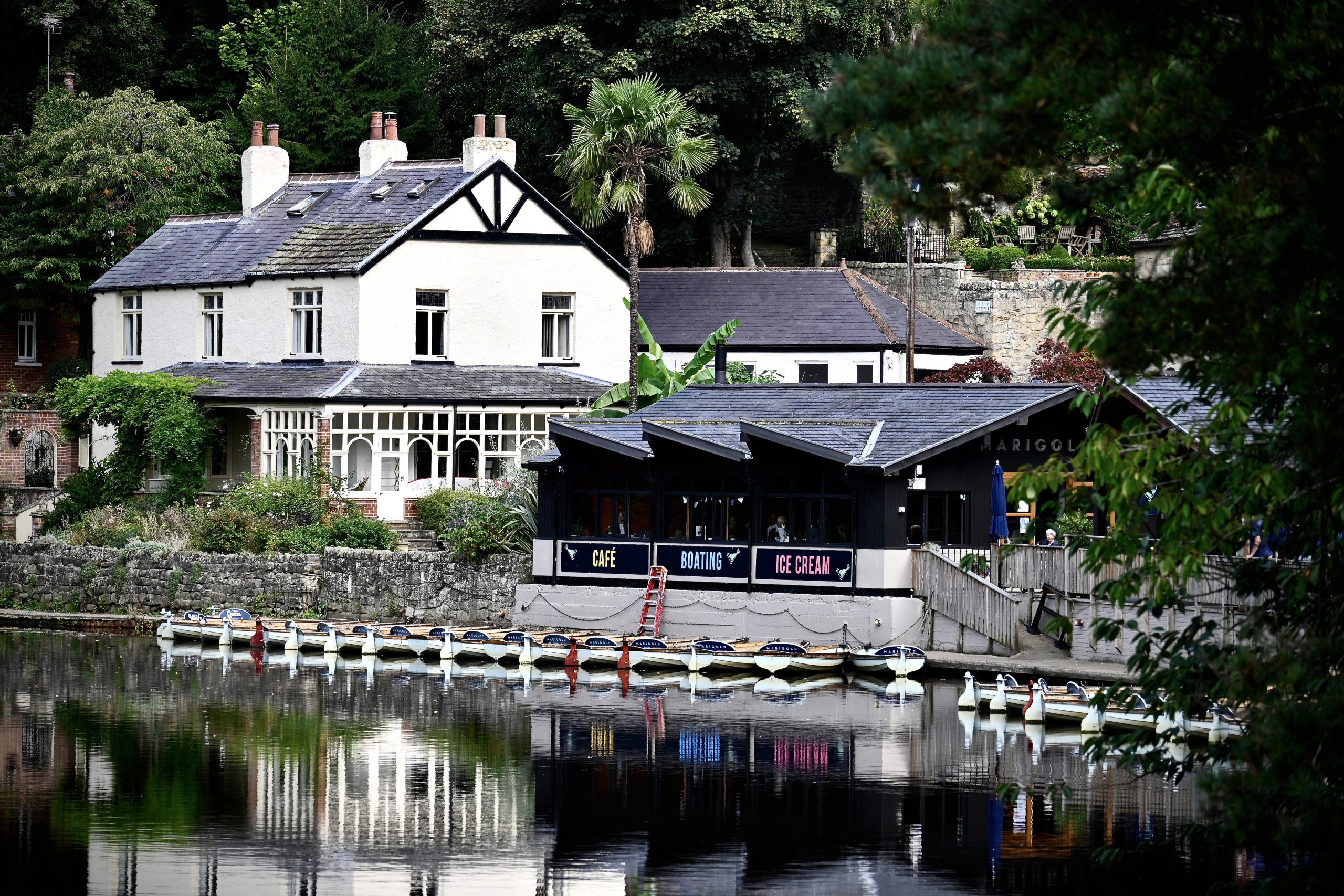 Phill Marley’s November Newsletter | Latest Walks, Guides & Yorkshire Highlights