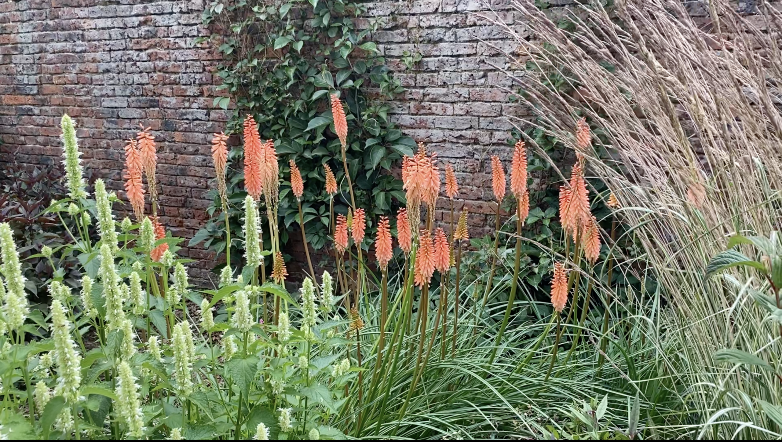 Scampston Hall Walled Gardens | A Serene Historic Escape in North Yorkshire