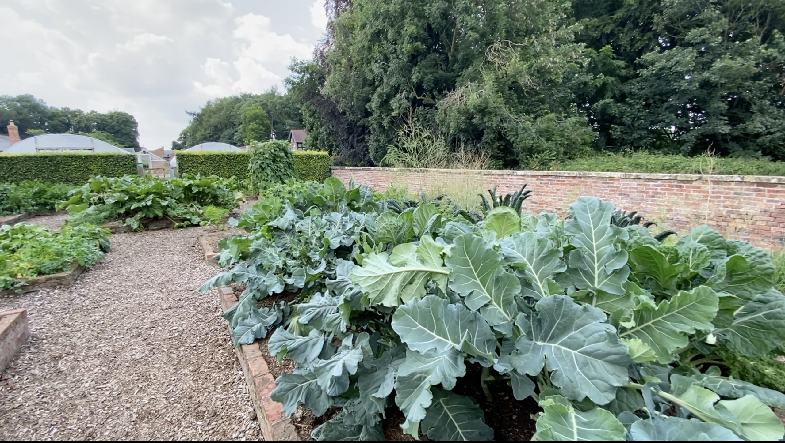 Scampston Hall Walled Gardens | A Serene Historic Escape in North Yorkshire