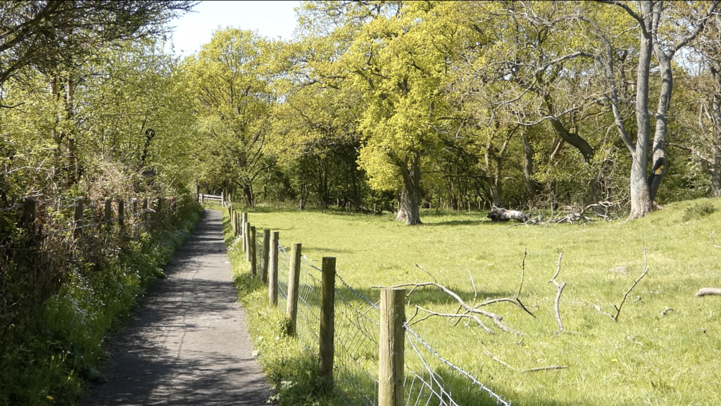 Goathland Rail Trail: A Scenic Walk Through Heartbeat Country & North York Moors History