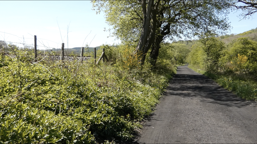 Goathland Rail Trail: A Scenic Walk Through Heartbeat Country & North York Moors History