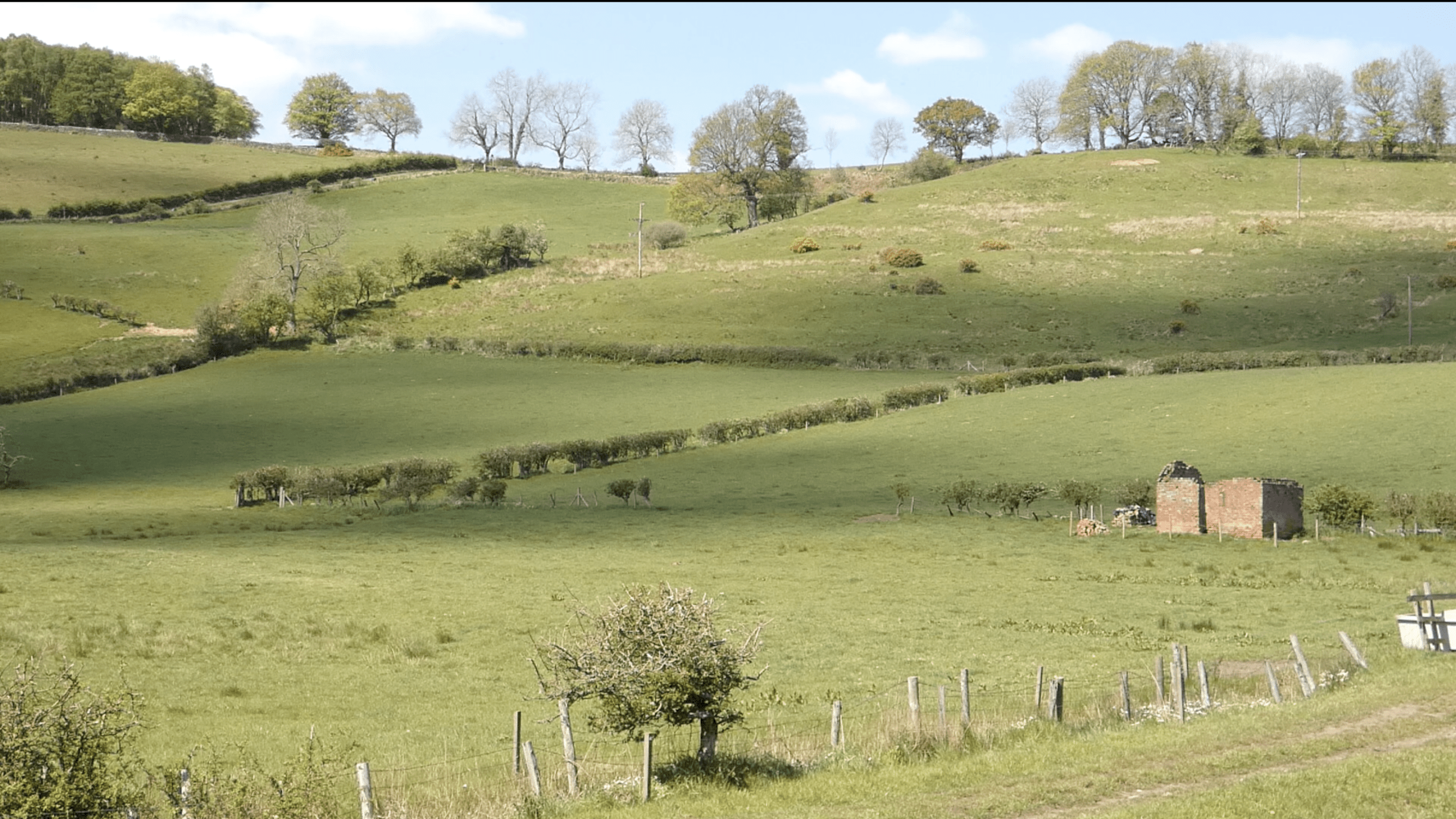 Goathland Rail Trail: A Scenic Walk Through Heartbeat Country & North York Moors History
