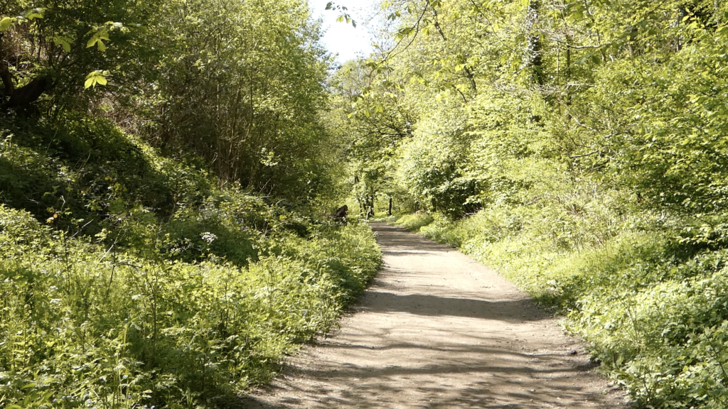 Goathland Rail Trail: A Scenic Walk Through Heartbeat Country & North York Moors History