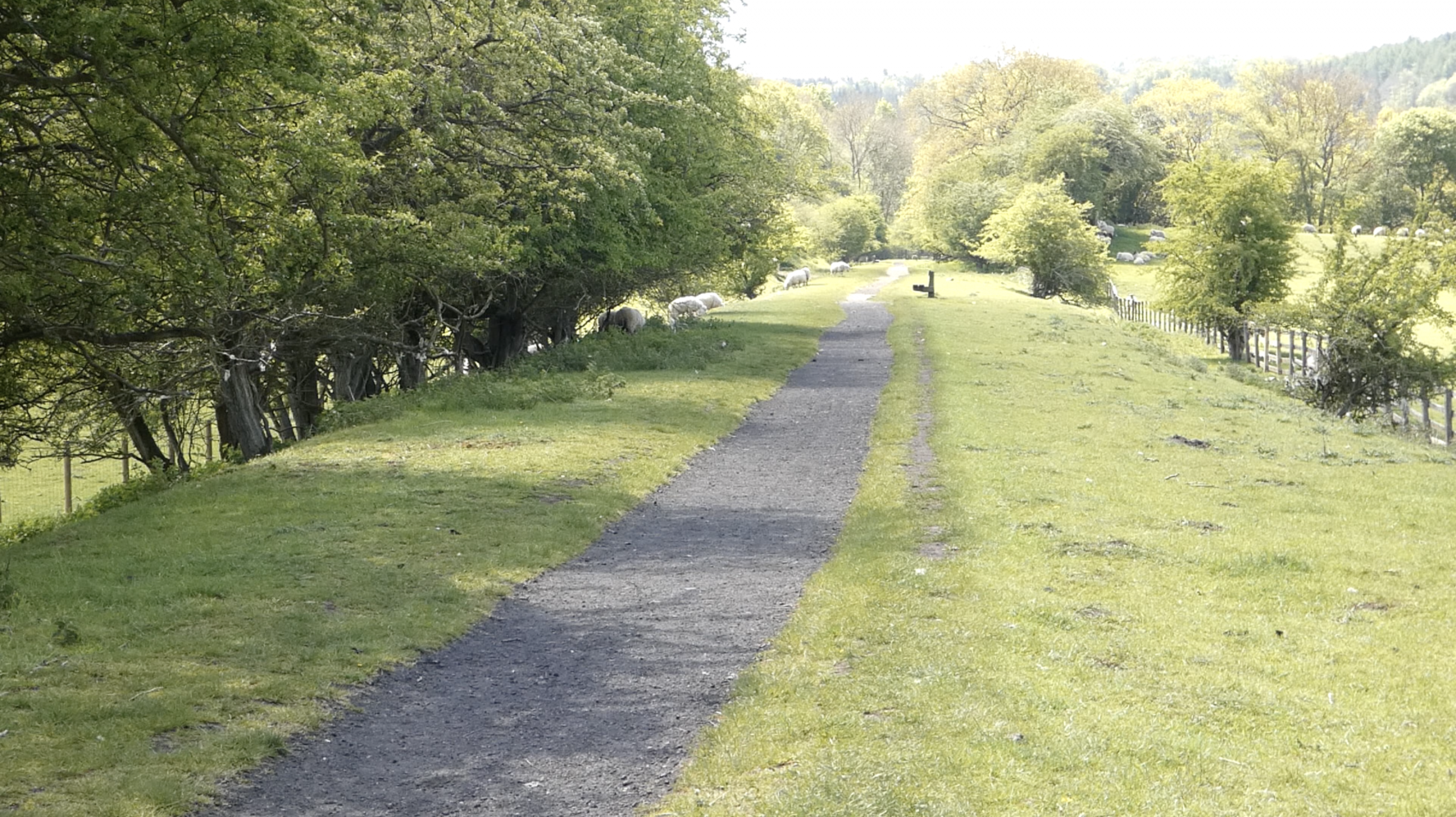 Goathland Rail Trail: A Scenic Walk Through Heartbeat Country & North York Moors History