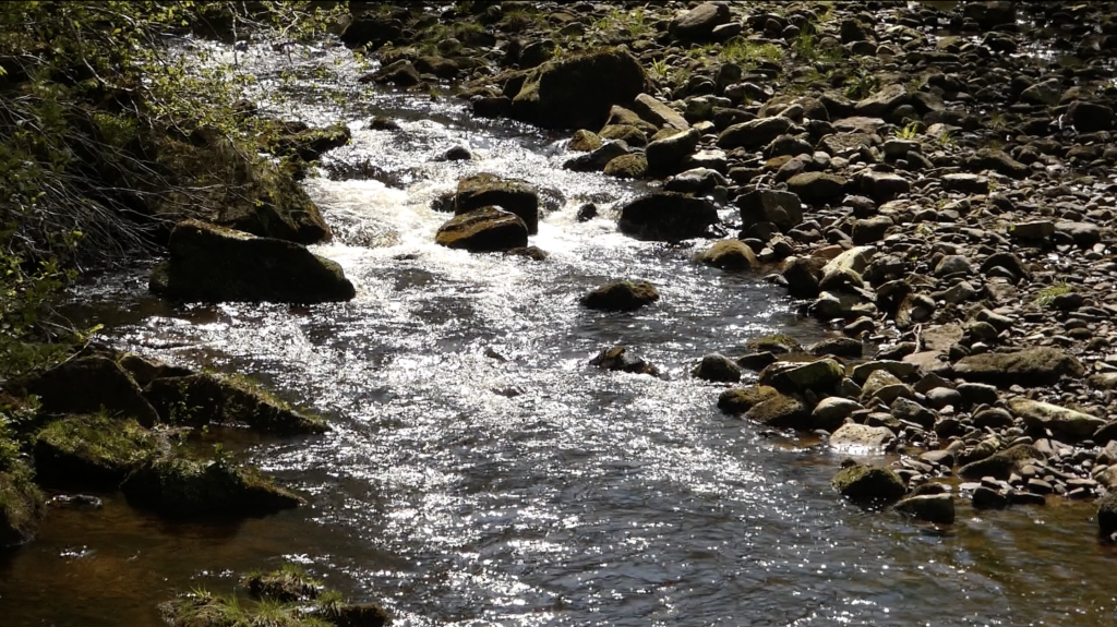 Goathland Rail Trail: A Scenic Walk Through Heartbeat Country & North York Moors History