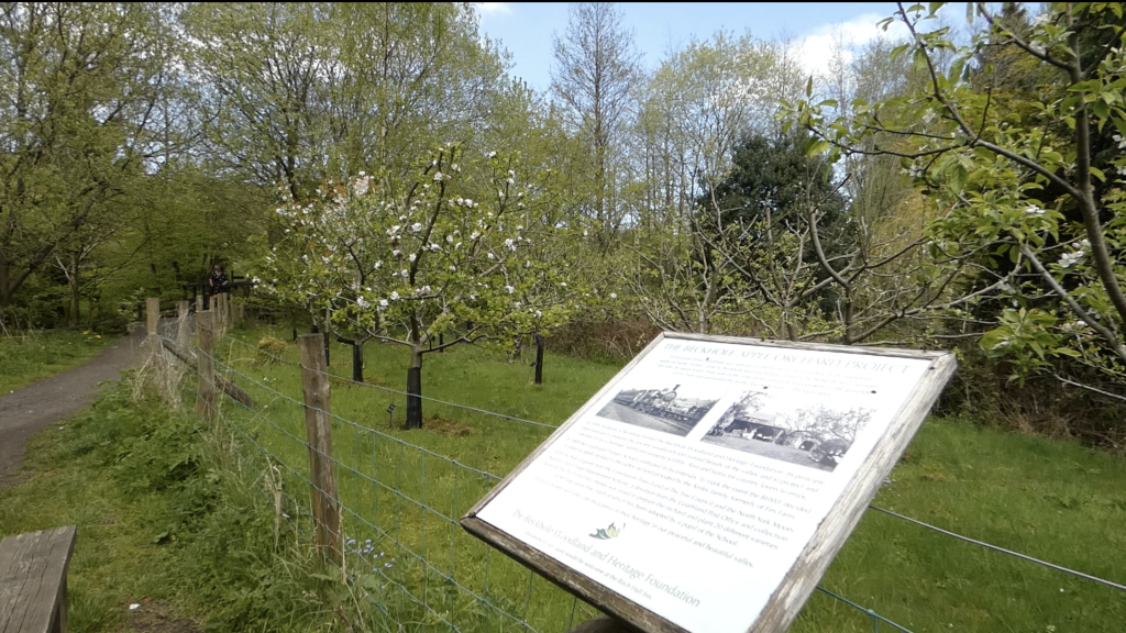 Goathland Rail Trail: A Scenic Walk Through Heartbeat Country & North York Moors History