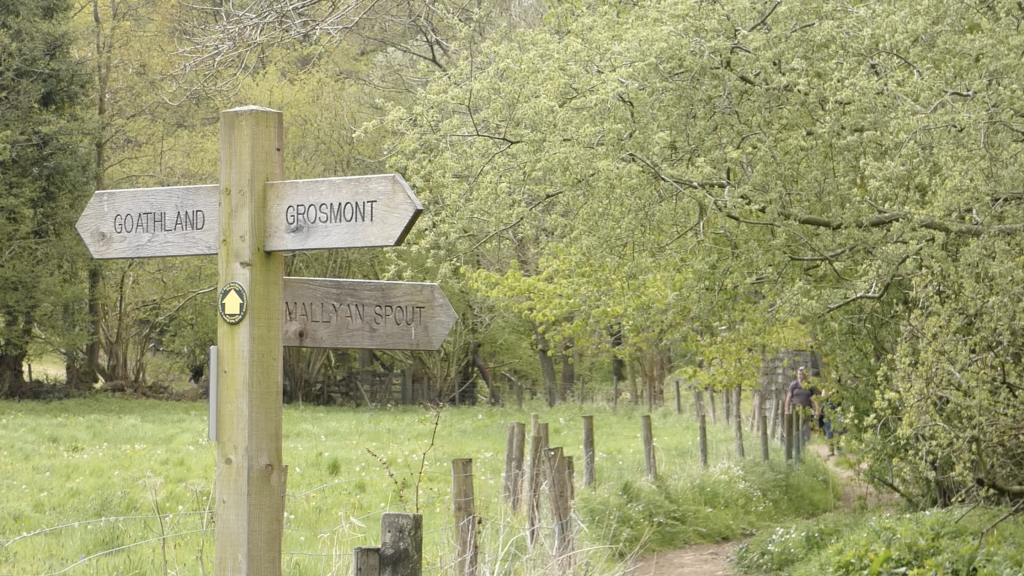 Goathland Rail Trail: A Scenic Walk Through Heartbeat Country & North York Moors History