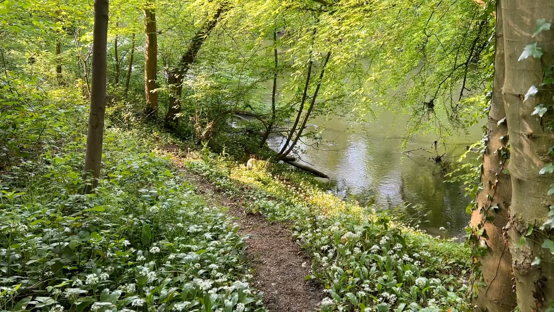 Kirkham Priory – Historic Augustinian Ruins in North Yorkshire