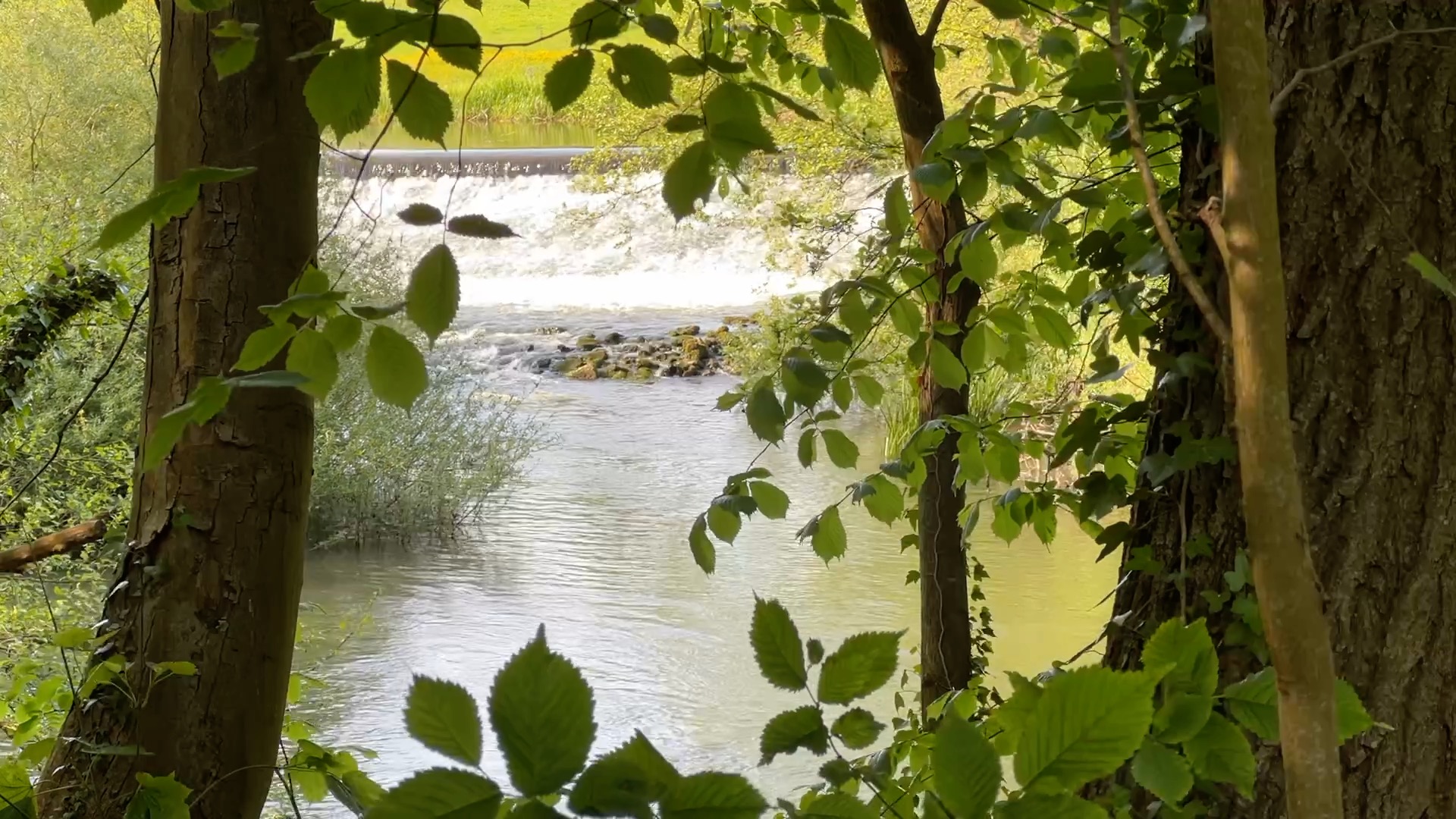 Kirkham Priory – Historic Augustinian Ruins in North Yorkshire