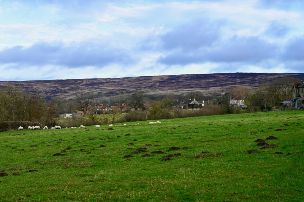 Goathland Circular Walk: Discover Mallyan Spout Waterfall & Scenic Moorland Trails
