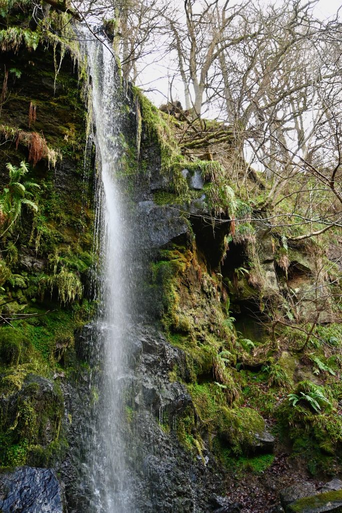 Goathland Circular Walk: Discover Mallyan Spout Waterfall & Scenic Moorland Trails