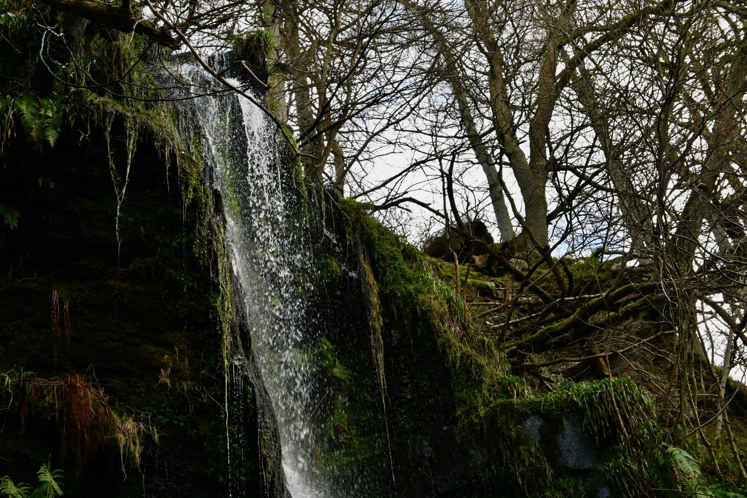 Goathland Circular Walk: Discover Mallyan Spout Waterfall & Scenic Moorland Trails