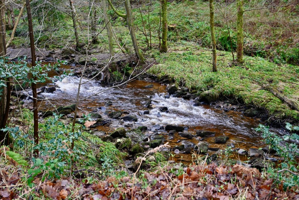 Goathland Circular Walk: Discover Mallyan Spout Waterfall & Scenic Moorland Trails