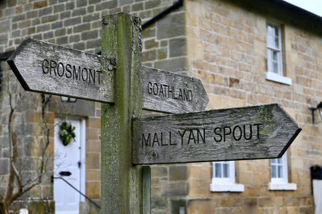 Goathland Circular Walk: Discover Mallyan Spout Waterfall & Scenic Moorland Trails