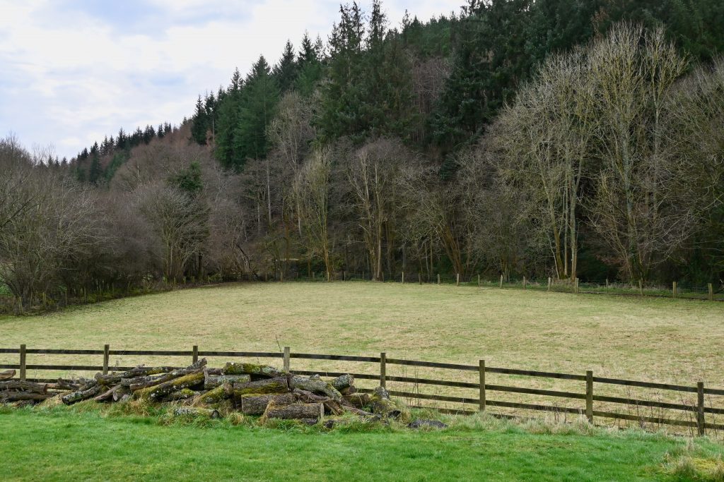 Goathland Circular Walk: Discover Mallyan Spout Waterfall & Scenic Moorland Trails