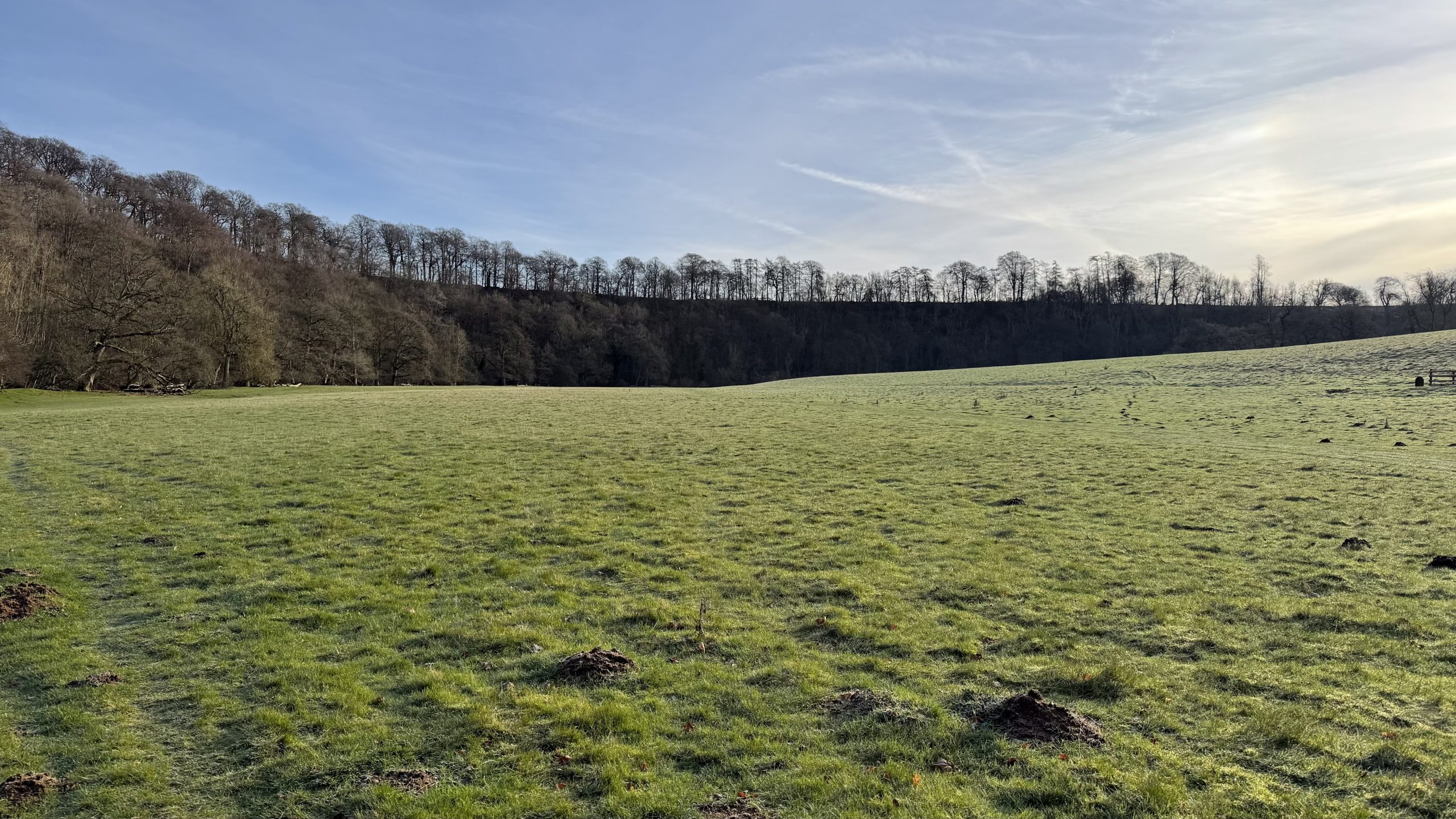 Brisk Walk in Helmsley & Duncombe Park | North Yorkshire Walking Route